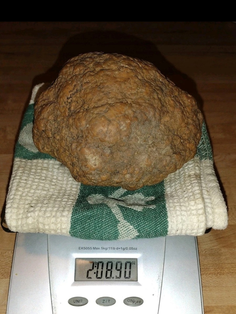 2.8 lb Unopened Geode Monroe County Indiana Raw Uncracked Crystal Rock Specimen